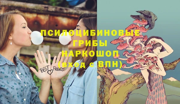 ешки Алексин