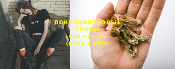 ECSTASY Алексеевка