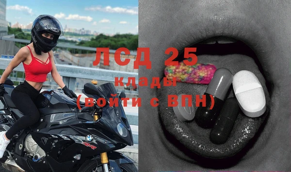 крисы Алзамай
